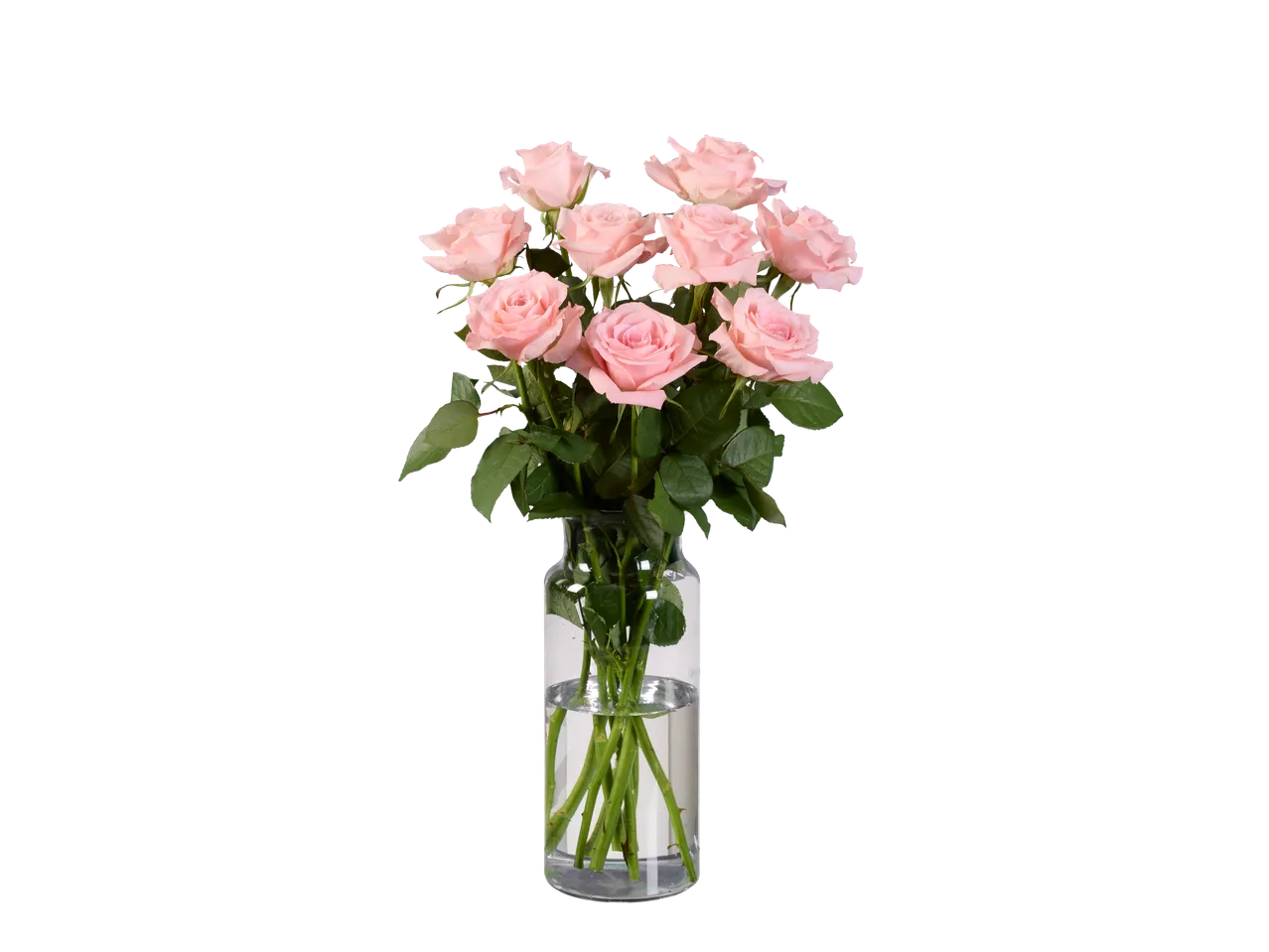 Um buquê de rosas rosa claro em um vaso de vidro transparente.