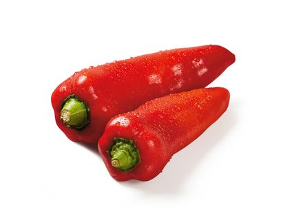 Rote Spitzpaprika