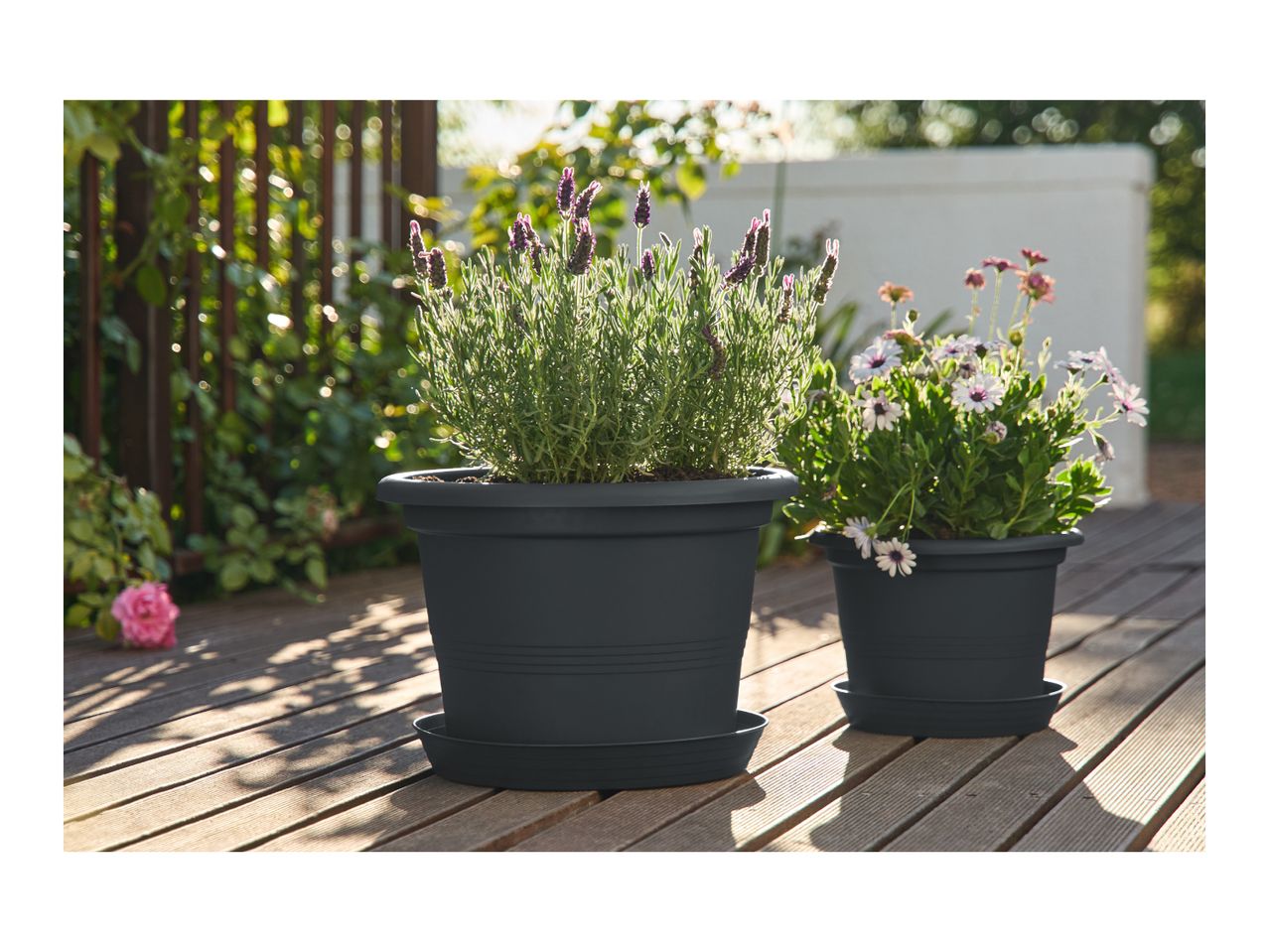 Two dark grey planters with lavender and daisies on a wooden deck in sunlight.