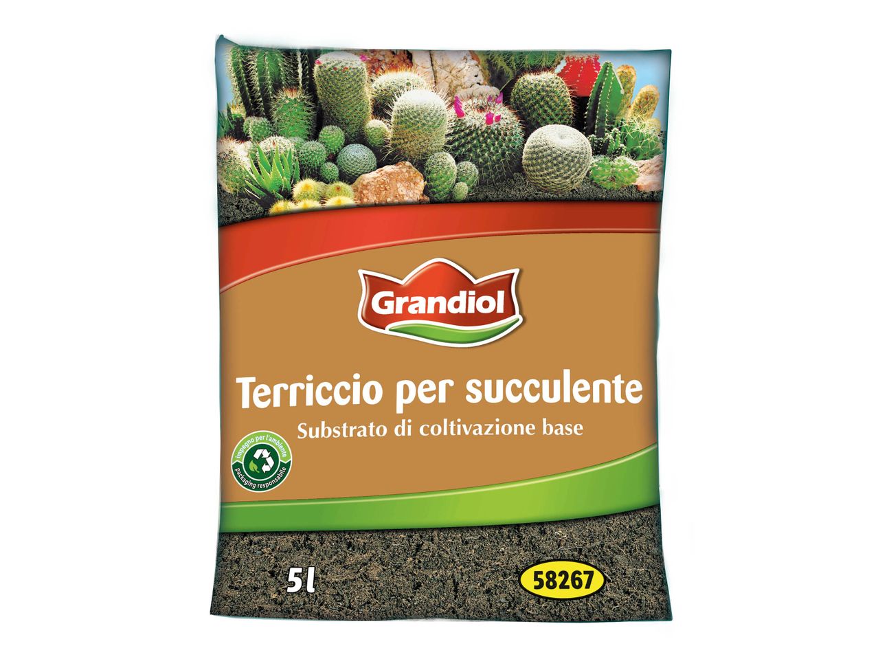 Grandioli potting soil for succulents, 5L bag with cacti and succulents on the packaging.