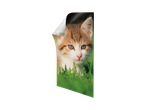 Sticker featuring an adorable kitten.