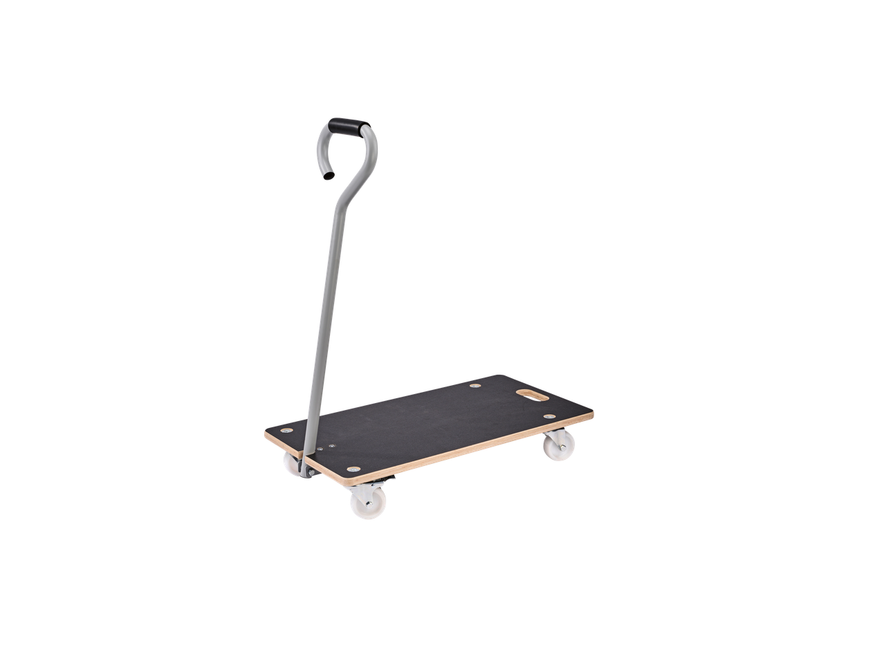 Parkside® transportna kolica sa ručkom