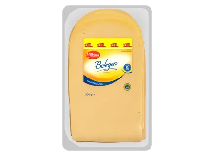 Plakken belegen Gouda kaas 48+