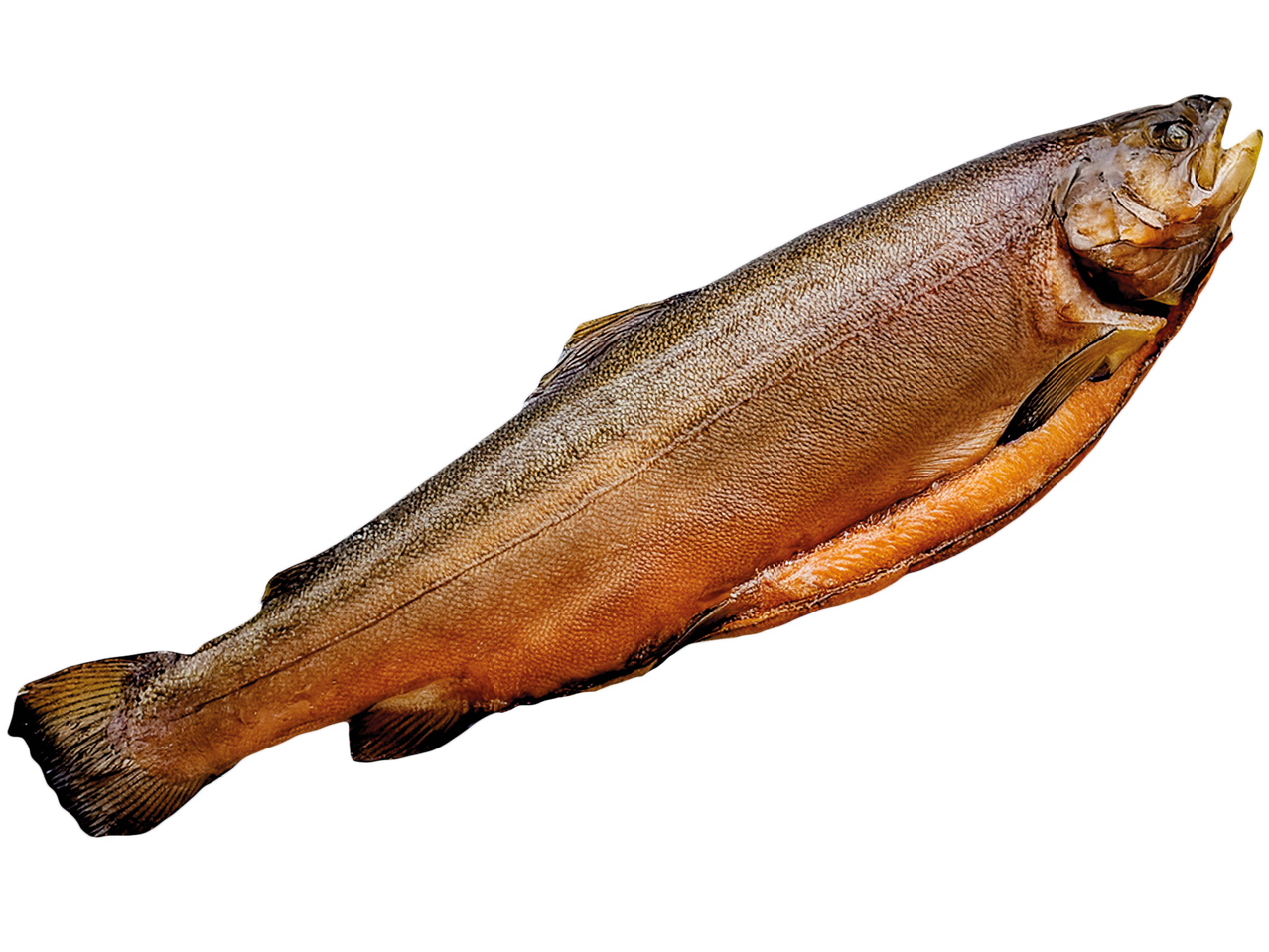 Färsk rökt lax