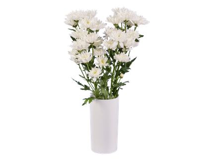 Buchet crizanteme
