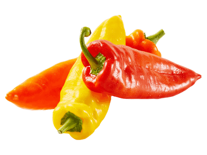Lecsópaprika