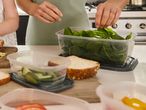 A person preparing lunchboxes with spinach, bread, and vegetables on a kitchen counter.