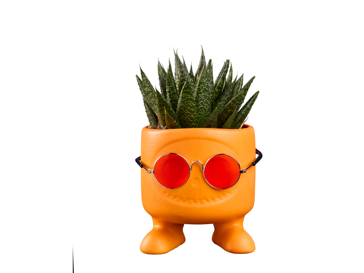 Een oranje pot in de vorm van een lachend gezicht met rode zonnebrillen en een succulent.
