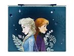 Frozen sisters Elsa and Anna on a dark blue background, featured on a framed artwork.
