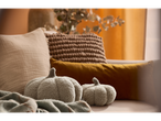 LIVARNO home decorative cushion set with pumpkin-shaped cushions and a throw.