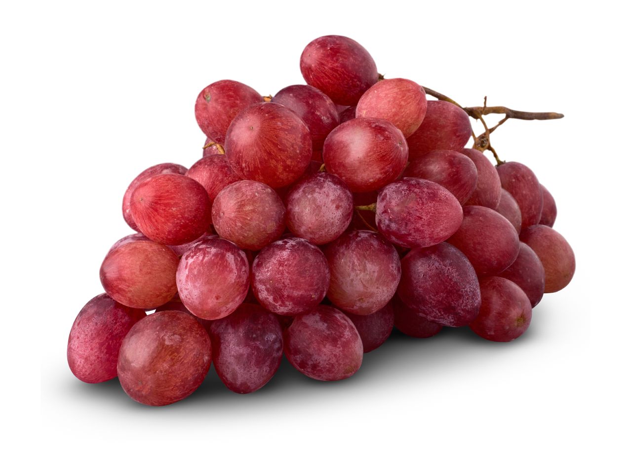 A bunch of fresh red grapes with a slight white bloom, isolated on a white background.