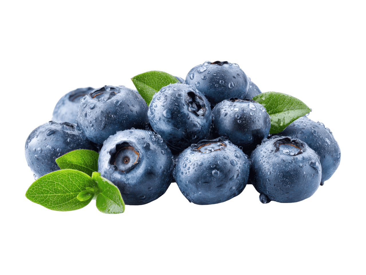Eine Handvoll frische, mit Wassertröpfchen bedeckte Blaubeeren mit grünen Blättern.