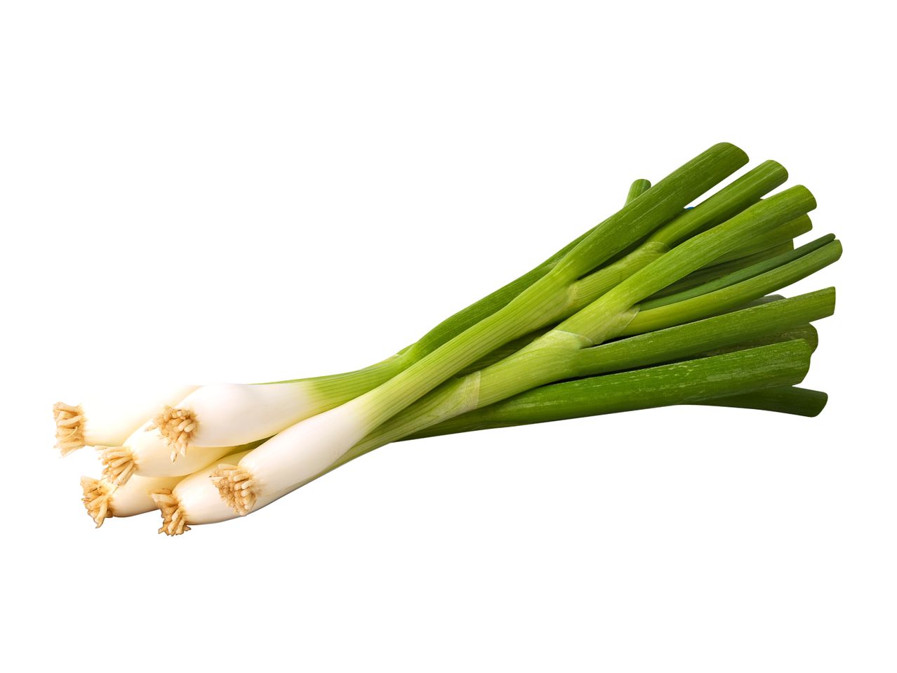 A bunch of fresh green spring onions with white bulbs and roots.
