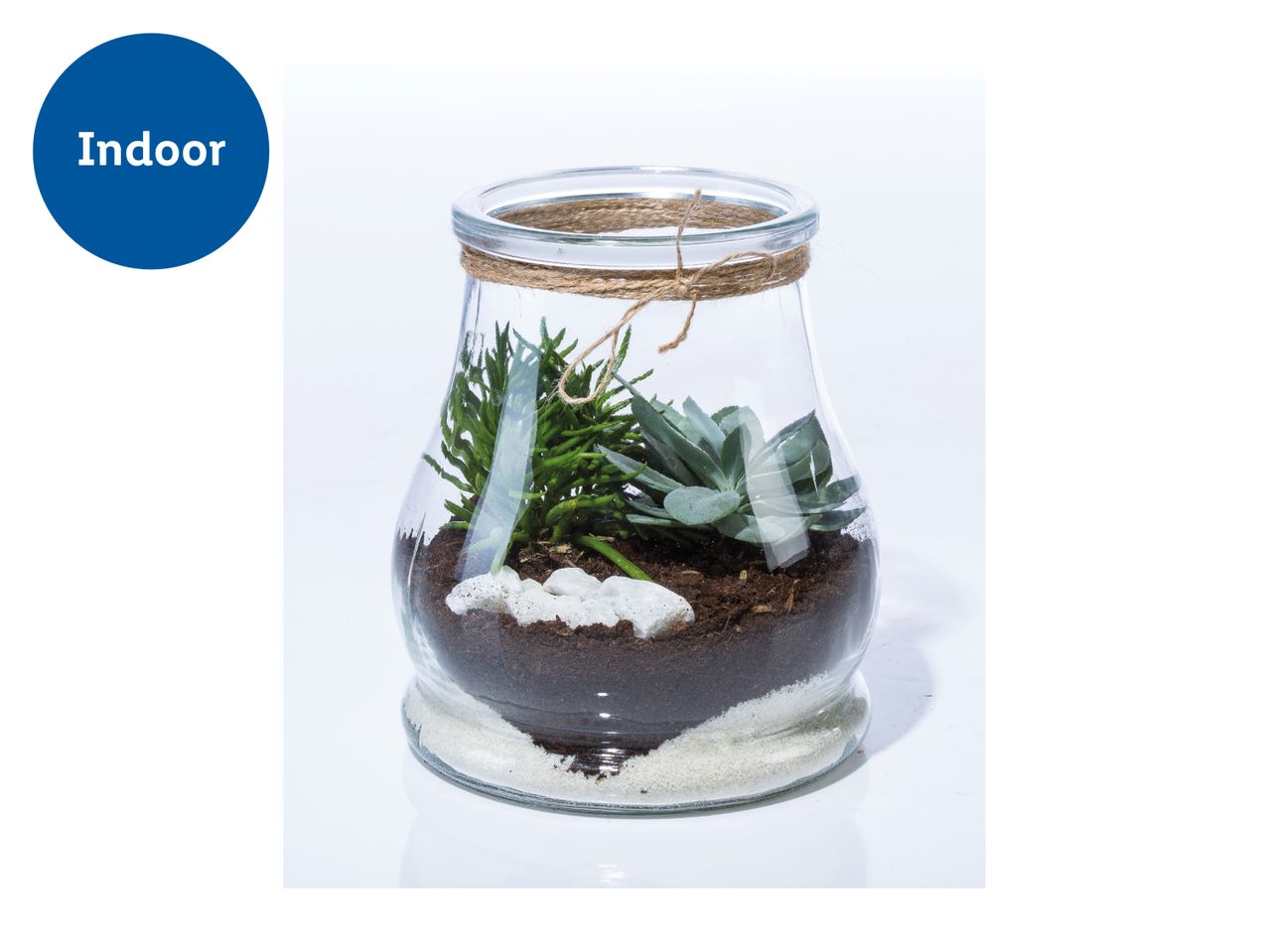 Indoor terrarium with succulents and white decorative stones in a glass jar with twine.