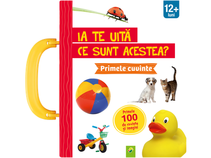 Carte ilustrată