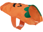 Fluffy orange dog costume with a pumpkin face and green collar