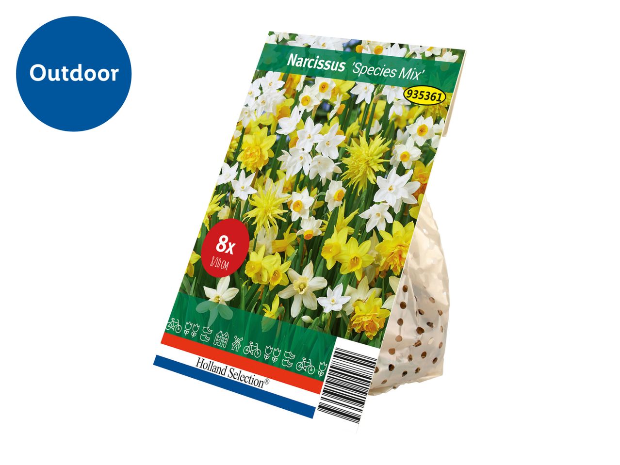 Bag of Narcissus 'Species Mix' flower bulbs for outdoor planting.