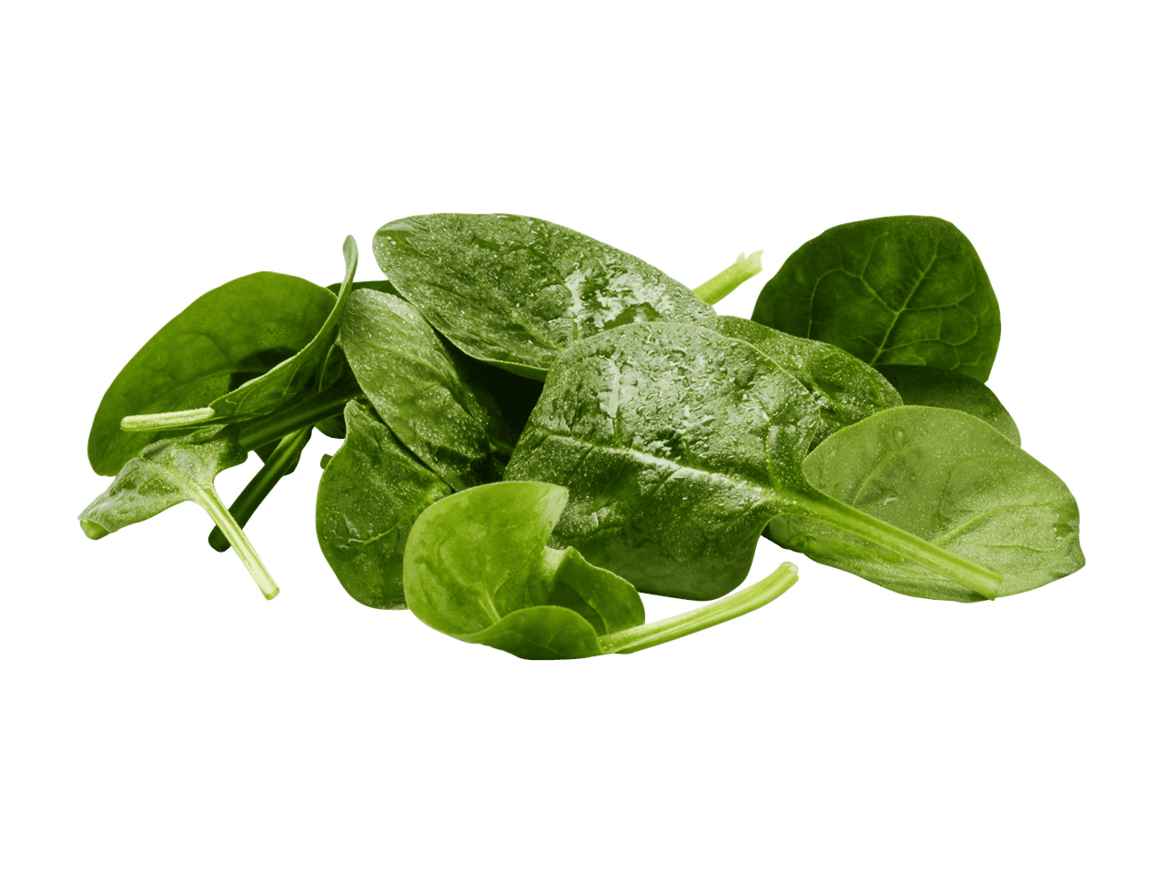 Ein Haufen frischer, grüner Spinatblätter mit Wassertropfen auf schwarzem Hintergrund.