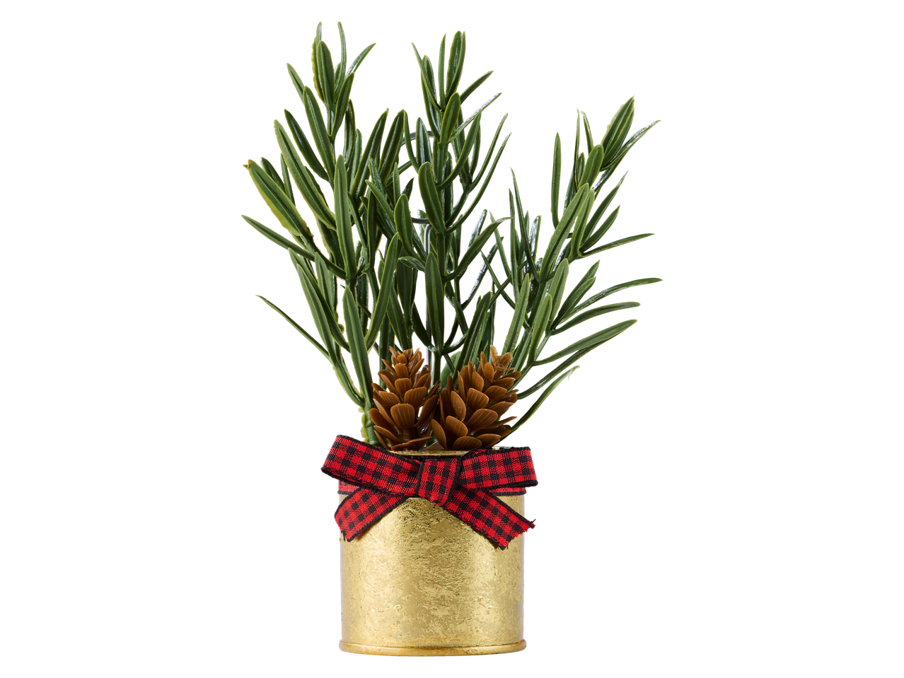 LIVARNO home mini jõulupuu roheliste lehtede, käbide ja punase ruudulise paelaga kuldses potis.