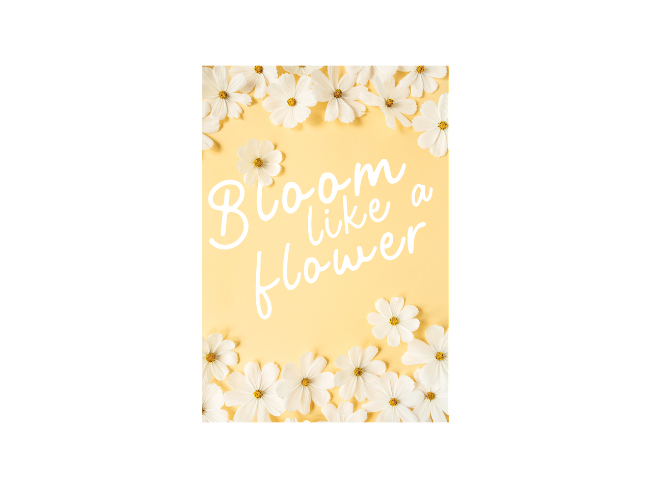 Žuti poster sa belim cvećem i tekstom „Bloom like a flower“.