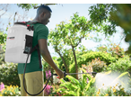 Man spraying plants with a backpack garden sprayer in a garden.