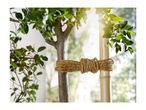 A young tree trunk secured to a bamboo support pole with thick natural fiber rope.