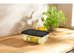 SILVERCREST® Food Storage Container with salad, oil, and basil on a wooden counter.