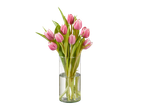 Tulipas rosas em um vaso de vidro.
