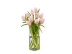 Tulipas rosas em um vaso de vidro.
