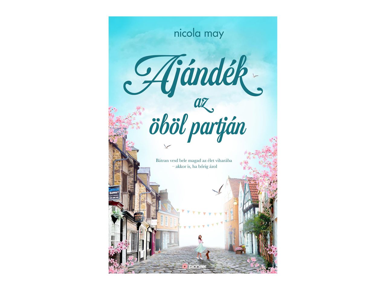 Ajándék az éből párjában című könyv borítója.