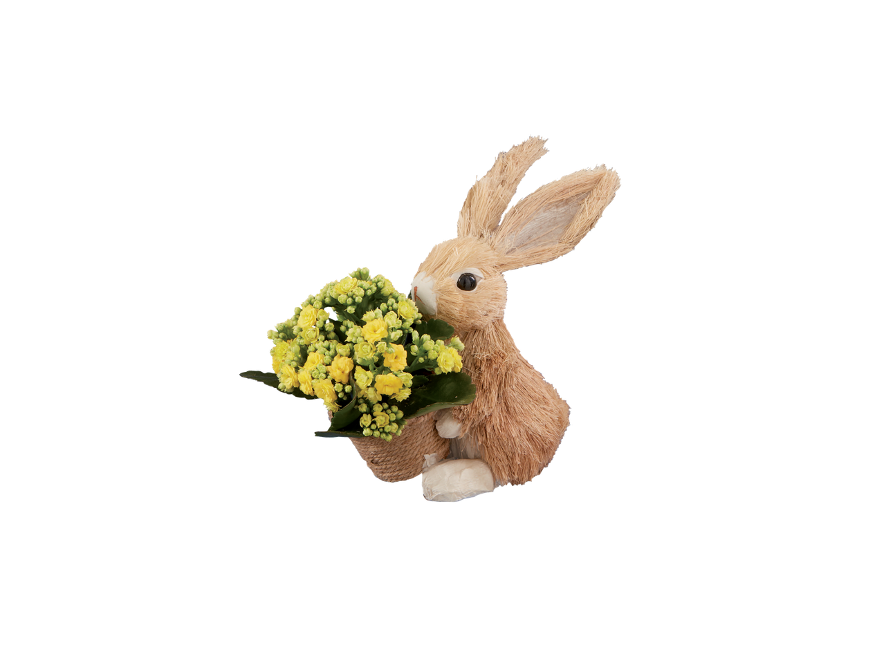 Go to full screen view: Small Bunny Arrangement - Image 1