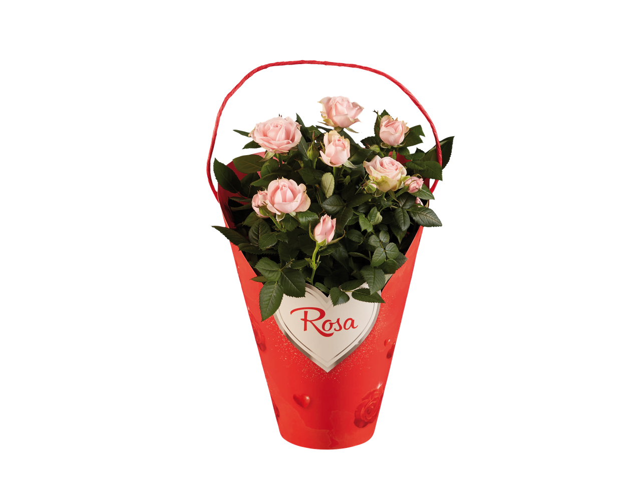 Ruže u crvenoj ambalaži u obliku srca.