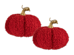 Zwei rote, flauschige Kürbisse mit goldenen Stielen auf schwarzem Hintergrund.