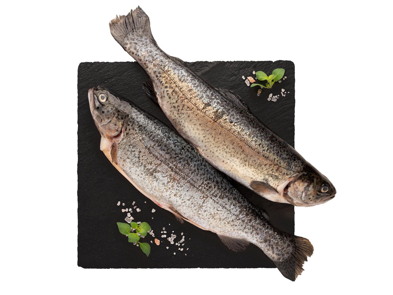 Két nyers pisztráng fekete palatáblán, sóval és zöldfűszerrel díszítve.