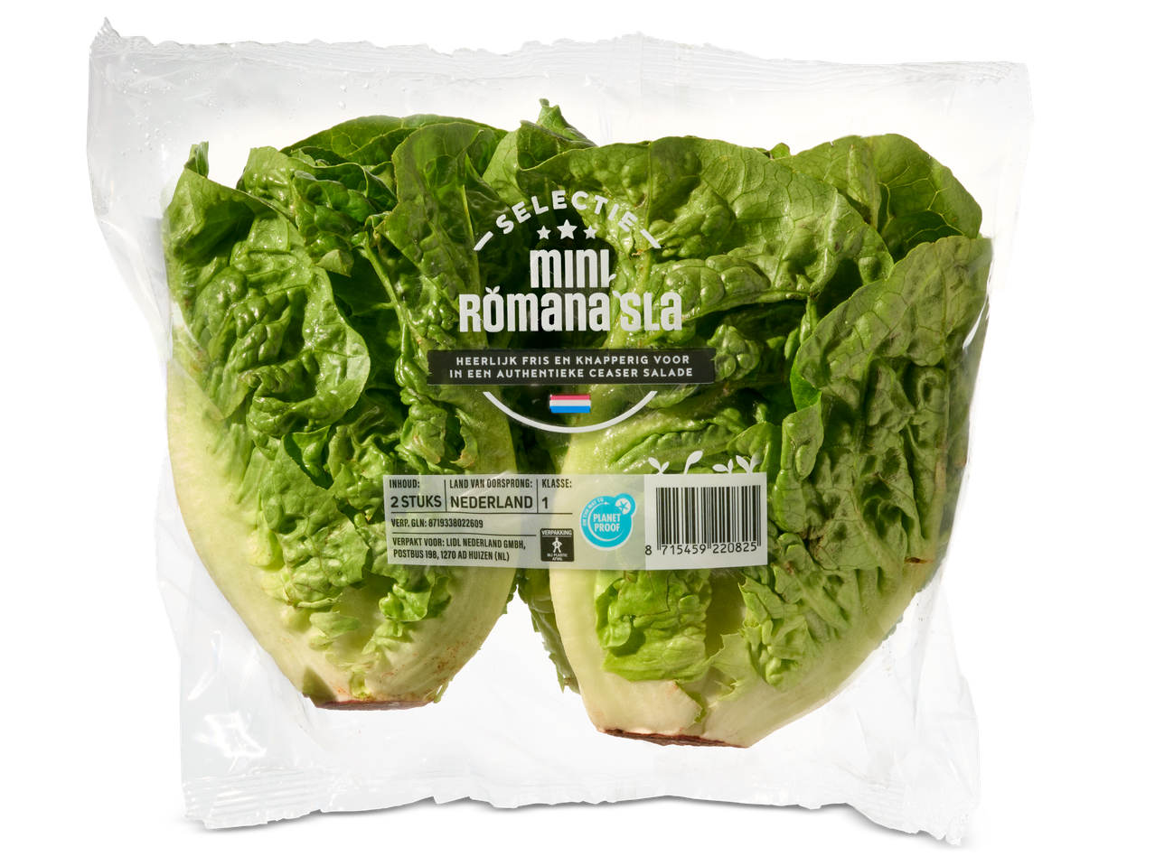 Twee mini romaine sla in een zak.