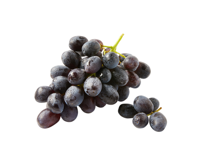 Tamsiosios besėklės vynuogės