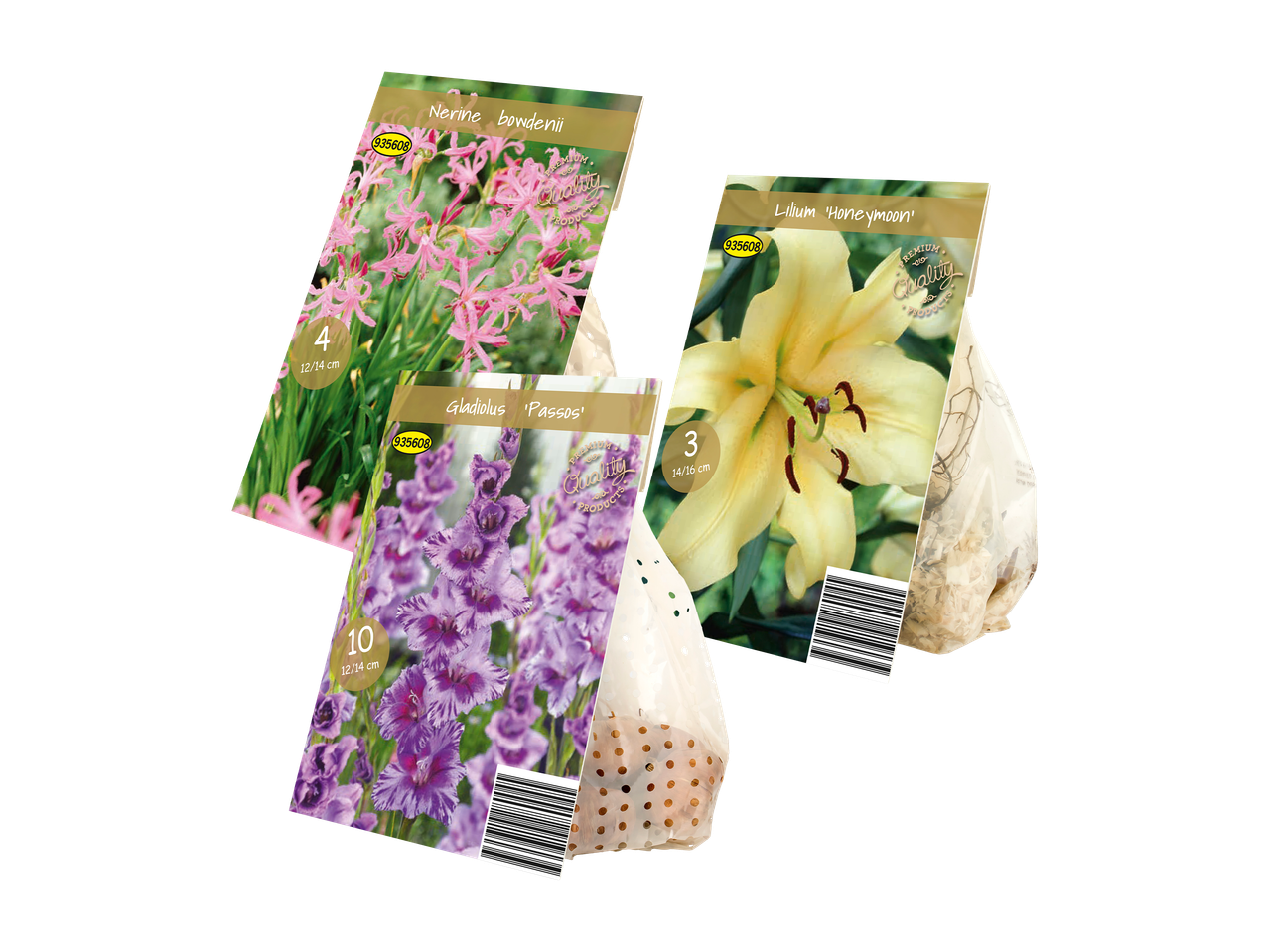 Tri pakiranja lukovica cvijeća: ružičasti Nerine, ljubičasti Gladiolus i žuti Lilium.