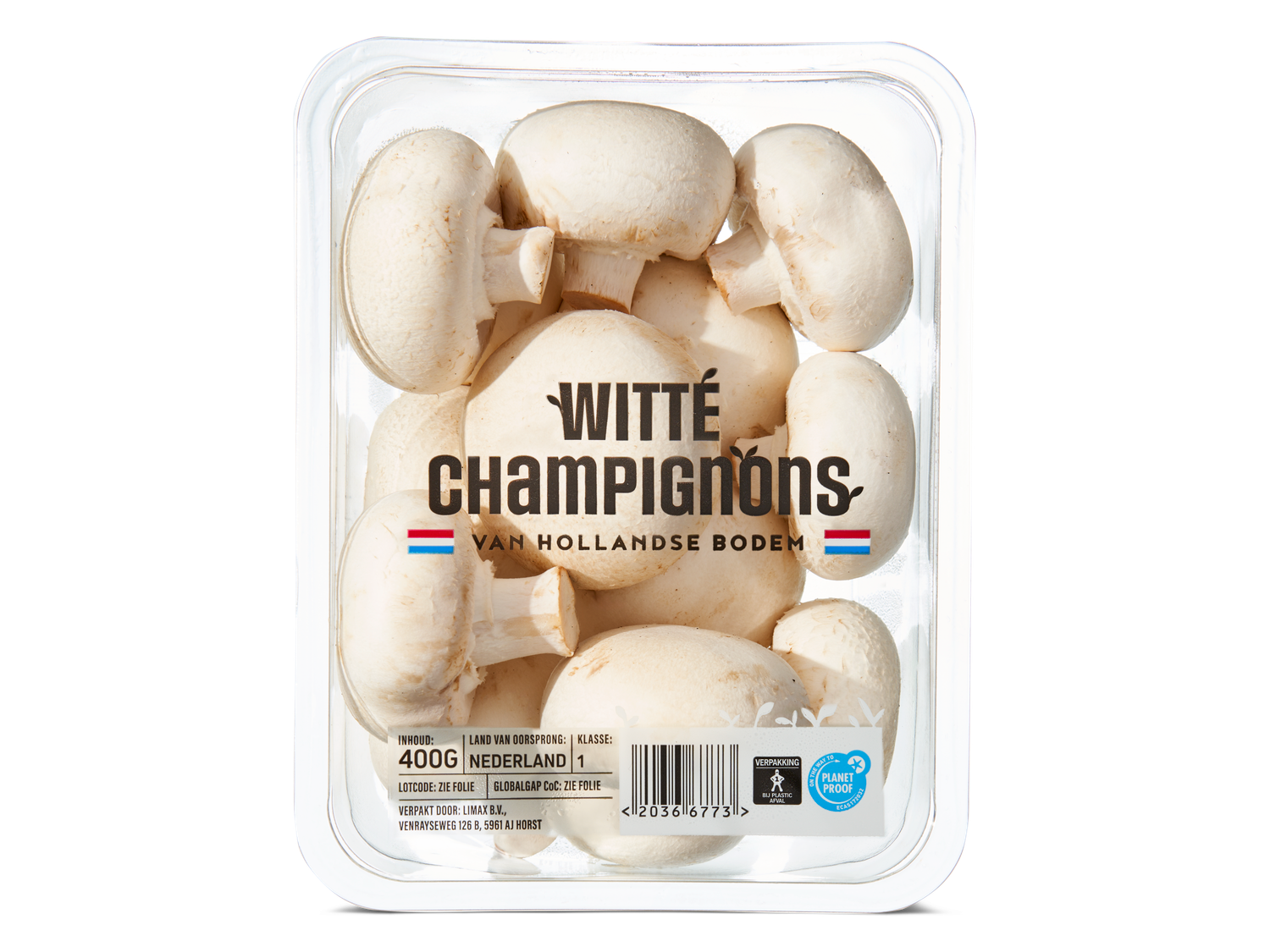 Extra grote champignons