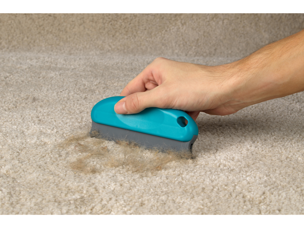 Hand removing pet hair from carpet with blue brush.