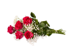 Buchet festiv de trandafiri roșii și flori albe de gipsofilă.