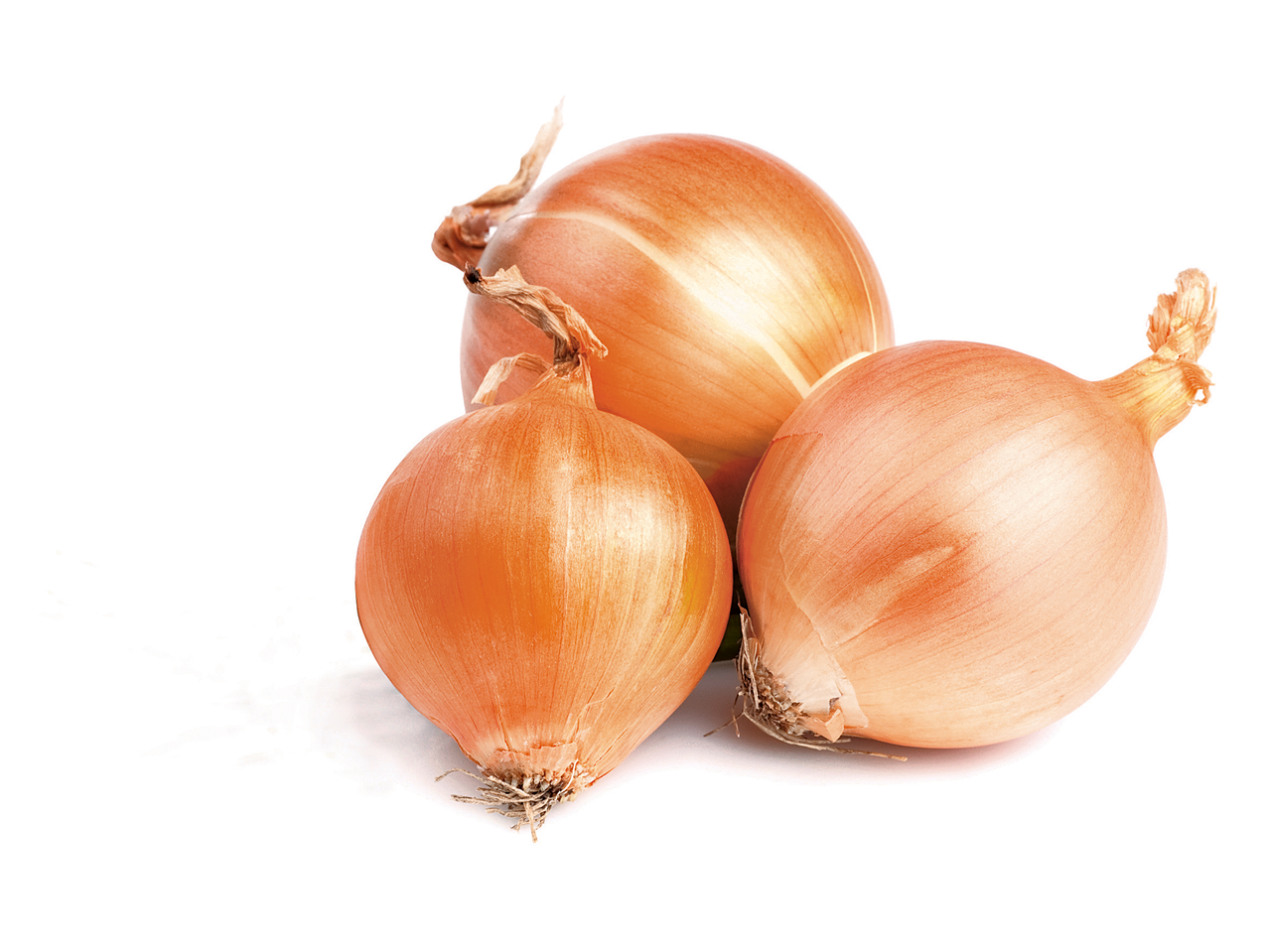 Três cebolas marrons em fundo branco.