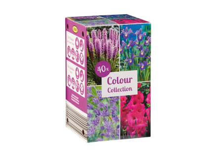 Őszi virághagyma mix*