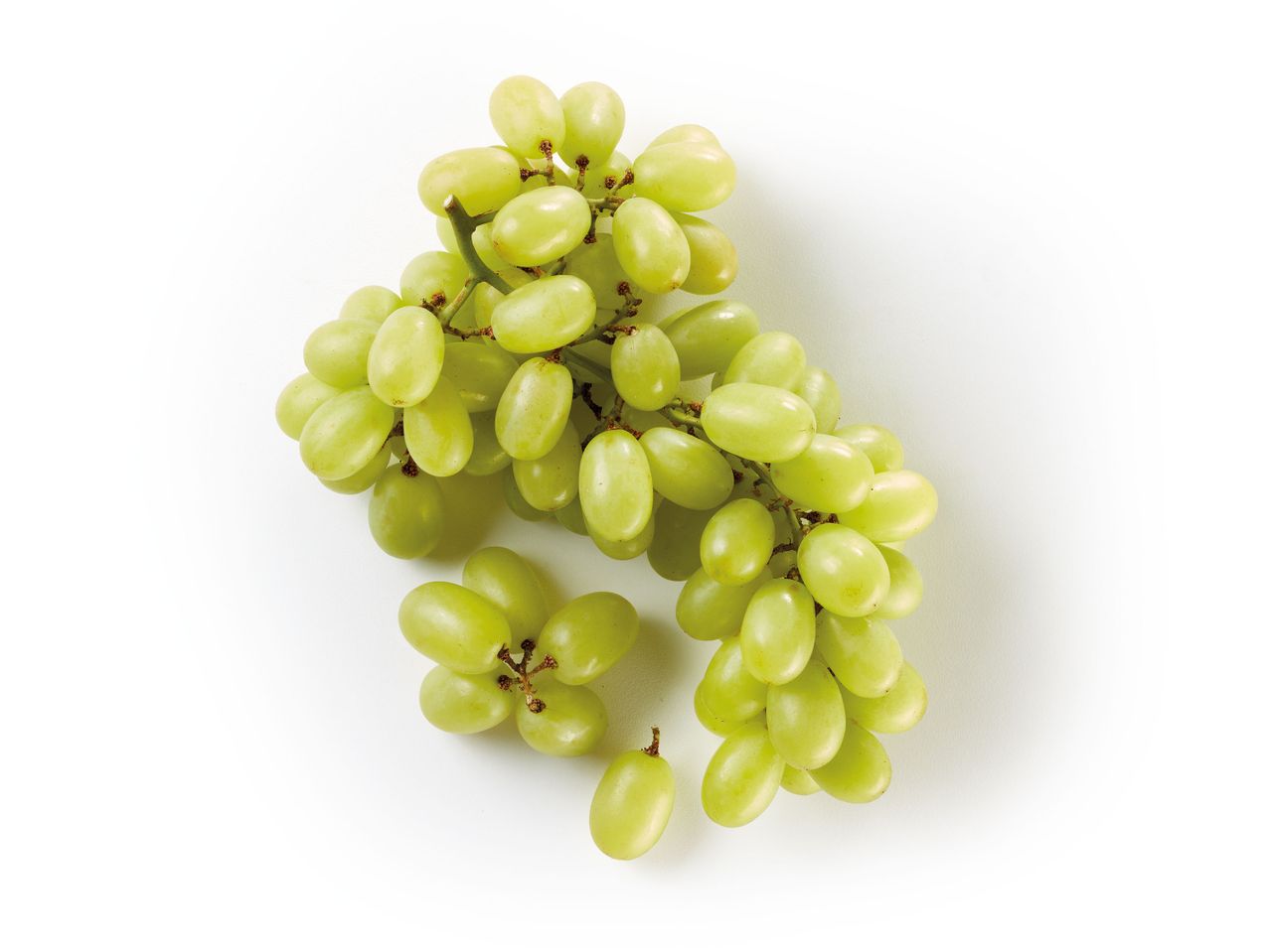 Un grappolo di uva verde su sfondo bianco.
