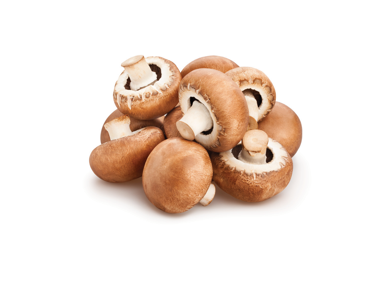 Kauss svaigu brūno šampinjonu uz balta fona.