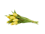 Ramo de tulipas amarelas.