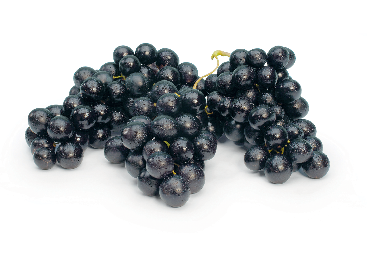 Uvas suculentas, azul-escuras.