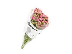 En buket lyserøde blomster pakket ind i hvidt og gennemsigtigt papir med et 'Queen'-logo.