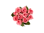 Um buquê de dez rosas rosa claro sobre um fundo preto.