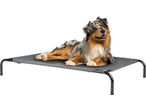 Zoofari Dog Bed with a merle Australian Shepherd lying on it