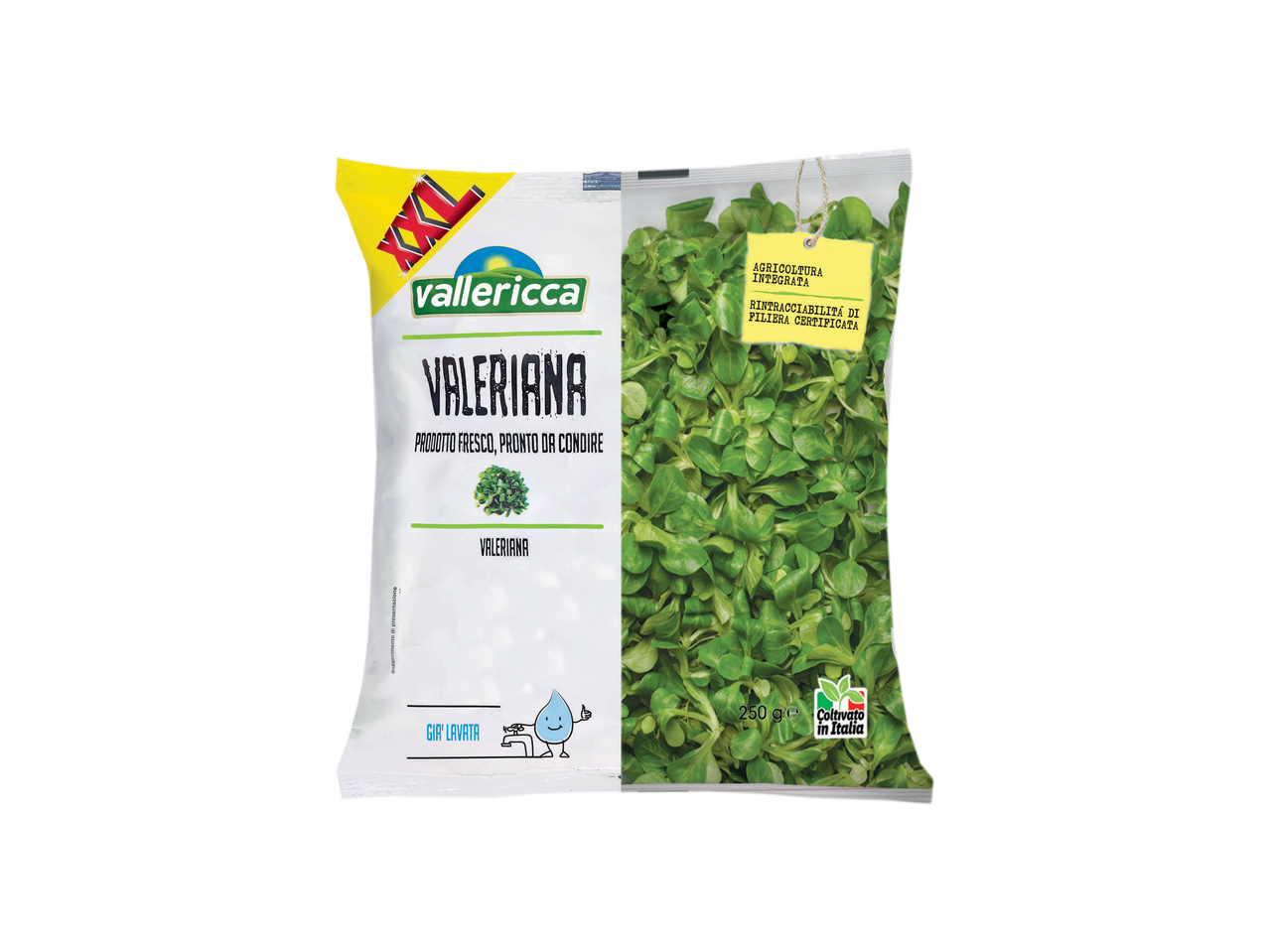 Valeriana XXL